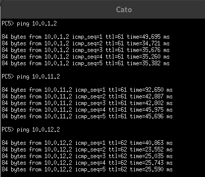 Ping desde Distrito 11
